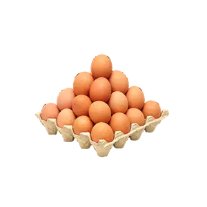 Beef Bone-In Premium Cut 1